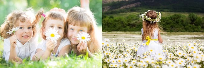 Children with daisies | Kelly Chandler Consulting