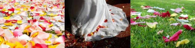 Rose petal wedding confetti | Kelly Chandler Consulting
